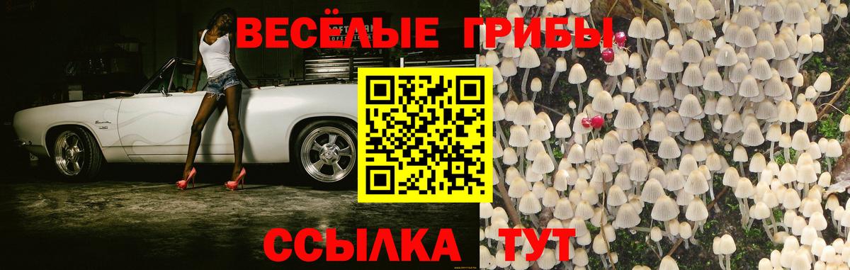 Воскресенск  Псилоцибиновые грибы Magic Shrooms  Вход с VPN 